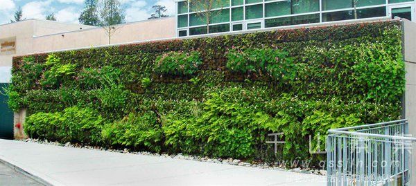 植物墙技术,植物墙行业