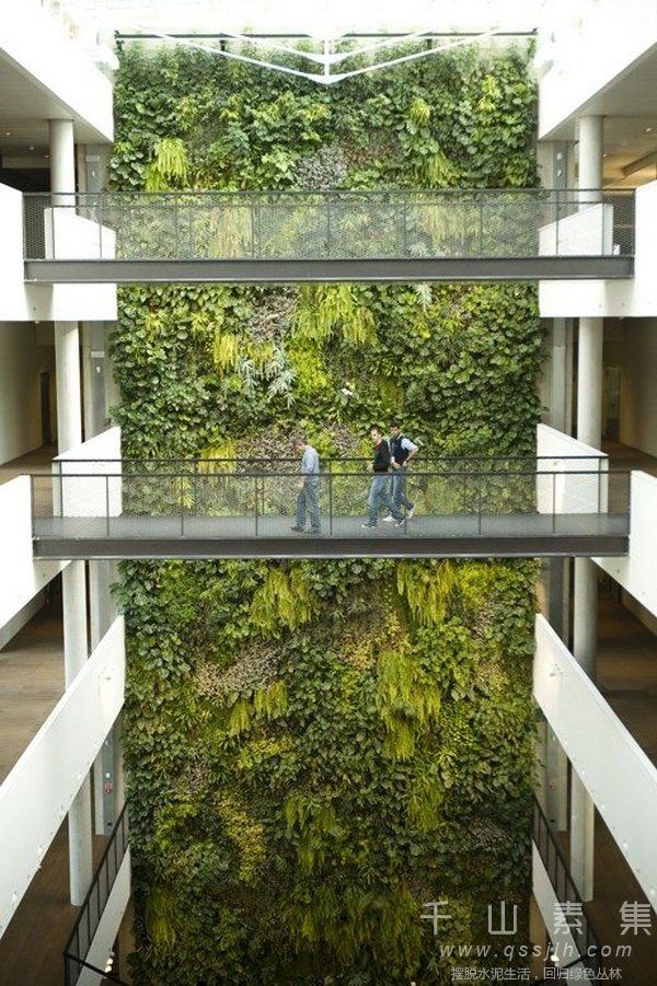 瀑布式植物墙,植物墙设计,植物墙景观