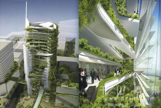垂直绿化植物墙 现代建筑的未来式！