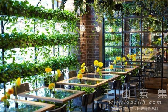 餐厅植物墙-如何为餐厅创造价值