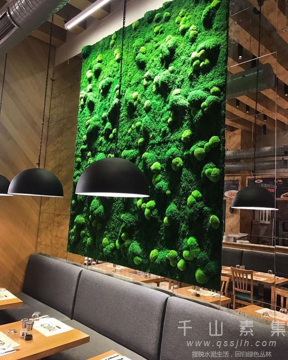 餐厅植物墙