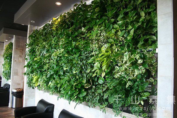 植物墙技术