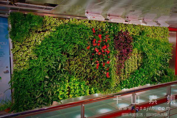 植物墙技术