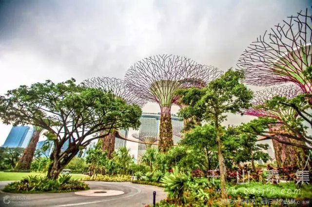 新加坡“城市花园”的秘密
