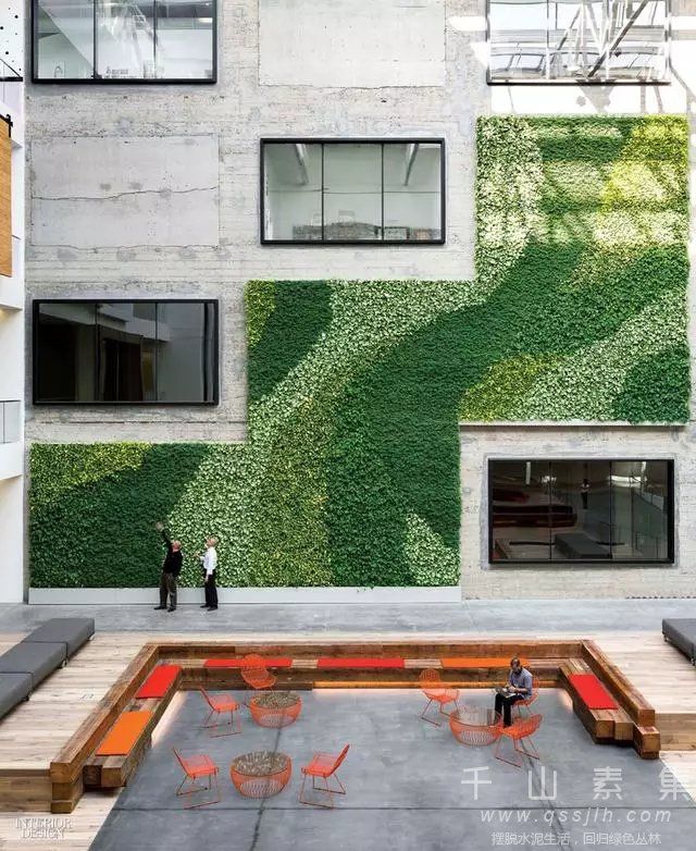 办公室植物墙,植物墙设计