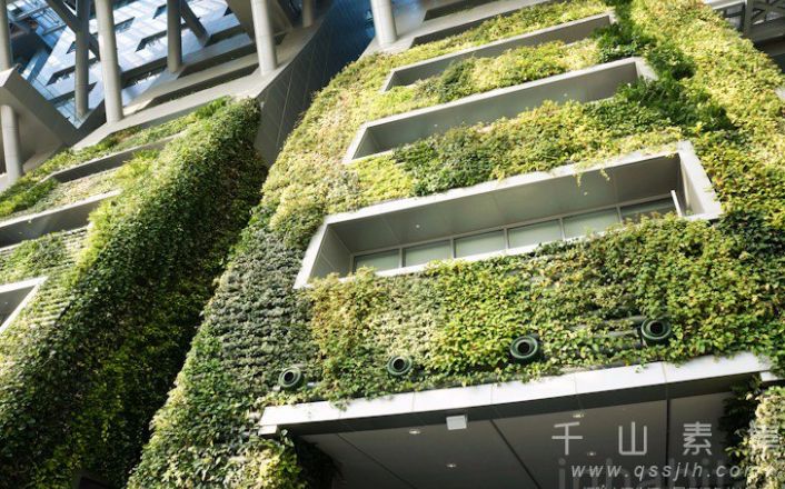垂直绿化植物墙-打造可再生能源绿色生态建筑