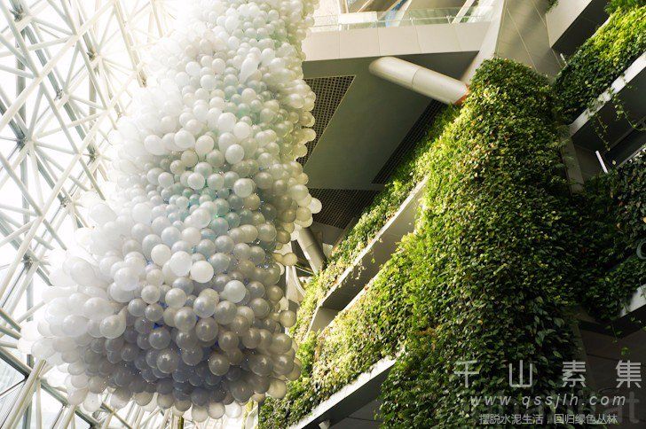 植物墙建筑,垂直绿化建筑,城市绿化,植物墙景观