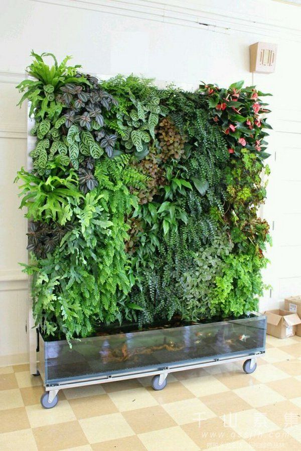 移动植物屏风 打造绿色生态家具
