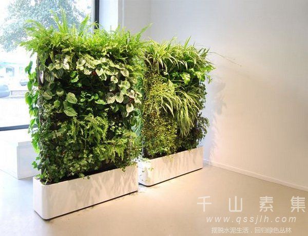 移动式植物墙,植物屏风
