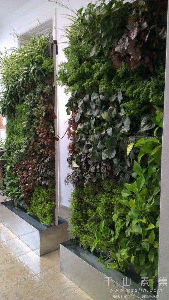 移动式植物墙,植物屏风