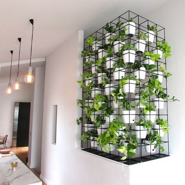植物墙景观,植物墙设计