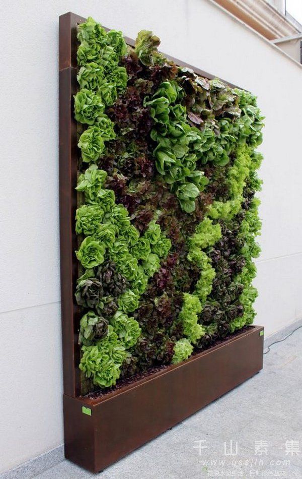 植物墙景观,植物墙设计
