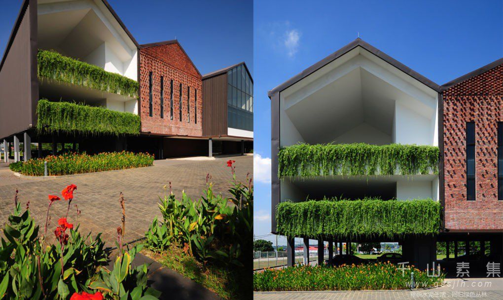 植物墙建筑,植物墙设计,植物墙景观
