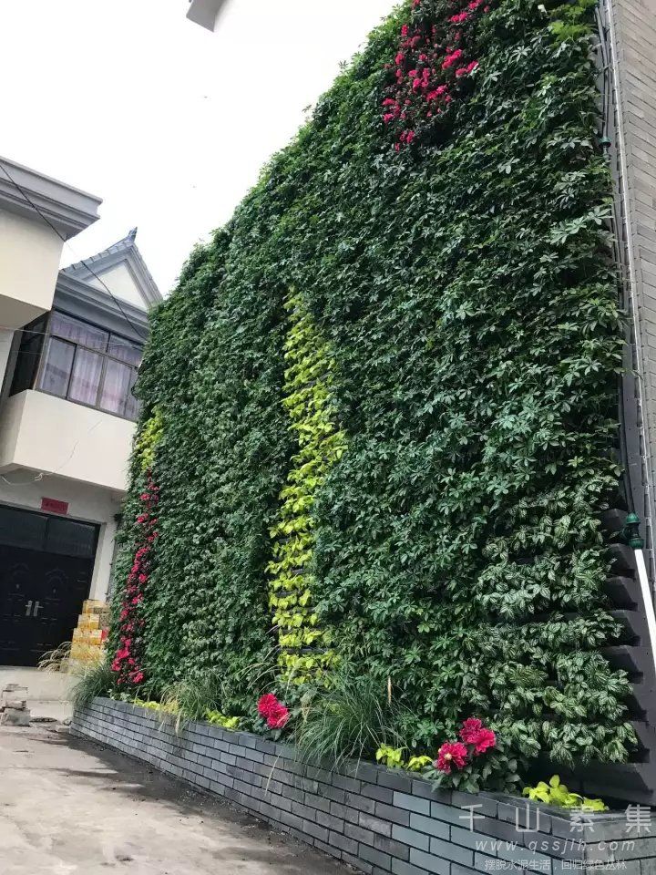 室外植物墙