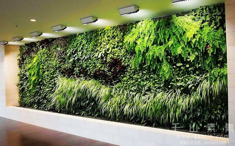 智能植物墙,生态植物墙,植物墙养护