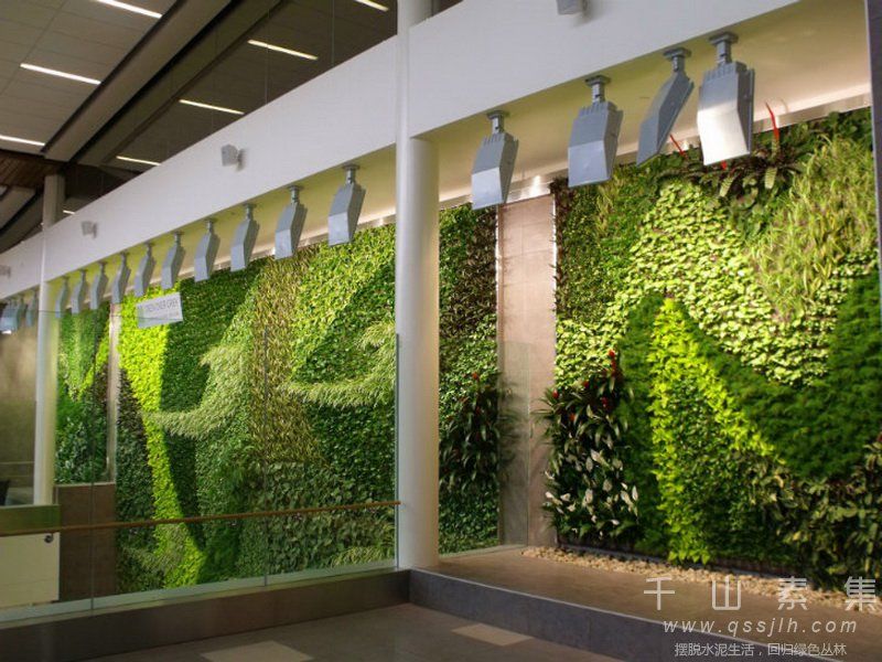 智能植物墙,生态植物墙,植物墙养护