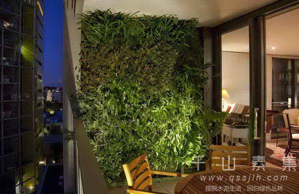 阳台花园,阳台垂直绿化,阳台植物墙,植物墙设计