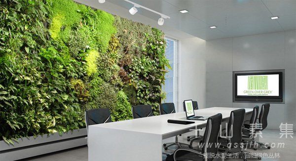 植物墙养护,冬季植物墙,植物墙技术