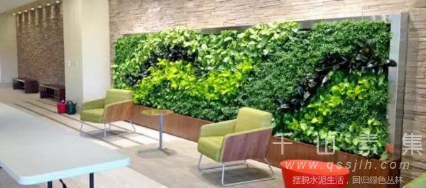 水培植物墙,移动式植物墙,植物墙屏风,智能植物墙