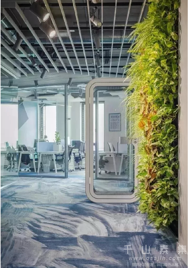 办公室植物墙,植物墙设计,植物墙景观