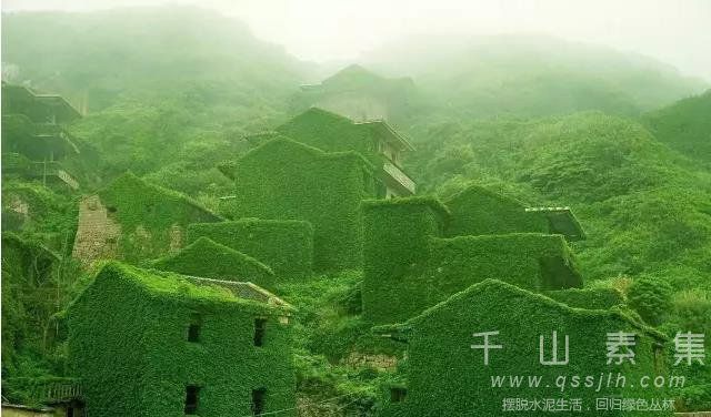 现实版绿野仙踪 废弃村落演绎壮观的垂直绿化景