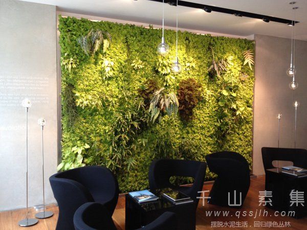 植物墙打造,植物墙设计,植物墙养护