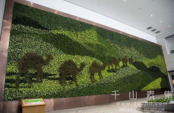主题植物墙,植物墙设计,植物墙景观