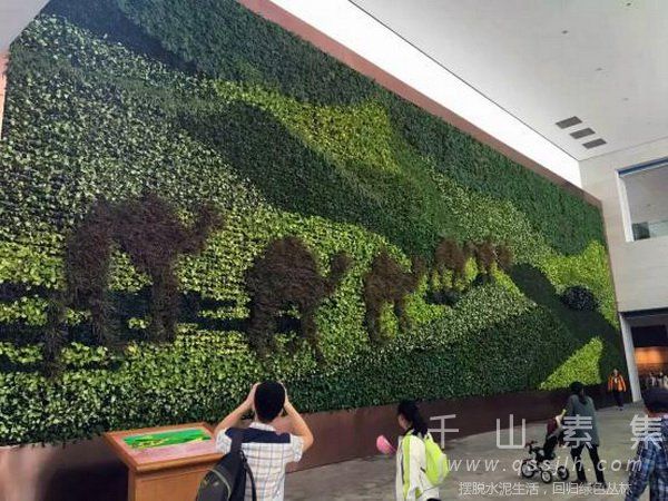 主题植物墙,植物墙设计,植物墙景观