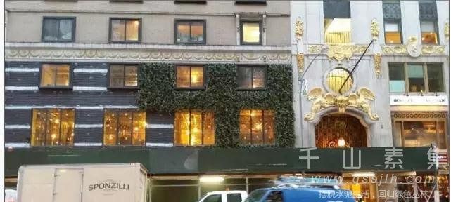垂直绿化植物墙 打造纽约市的墙上花园