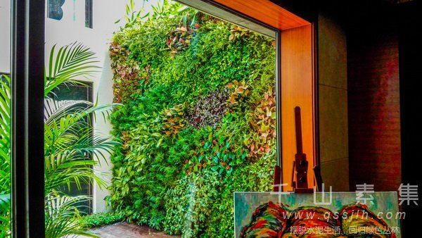植物花墙,植物墙设计