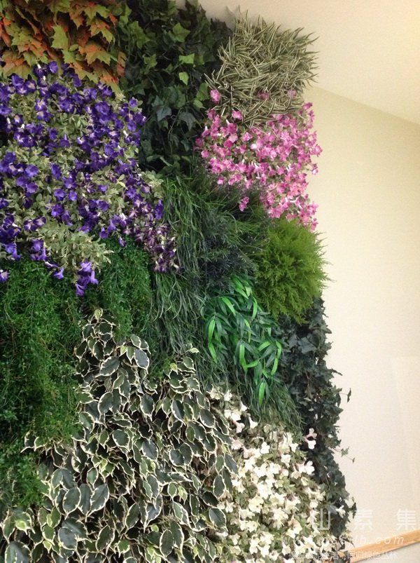 植物花墙,植物墙设计