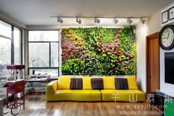 背景植物墙,沙发背景墙,植物墙优势