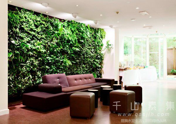 背景植物墙,沙发背景墙,植物墙优势