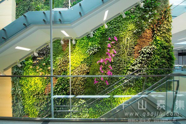 室内植物墙,植物墙设计,植物墙景观