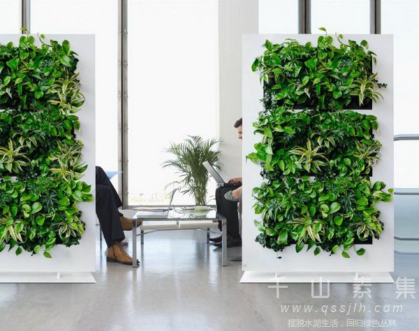 植物屏风,小品植物墙,植物墙设计