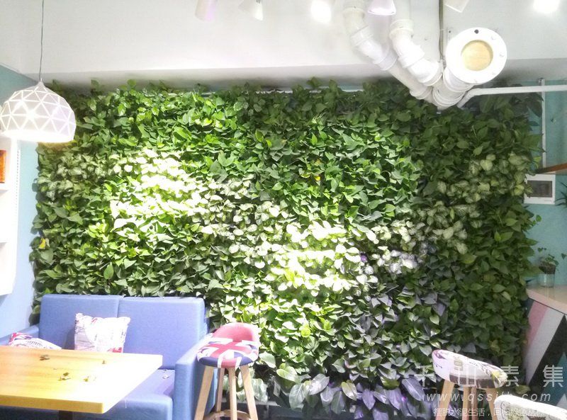 植物牆案例