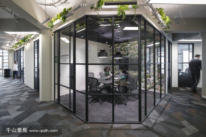 办公室垂直绿化