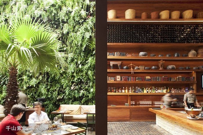 餐厅垂直绿化