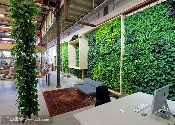 公司办公室植物墙，值得推荐的3个经典案例！