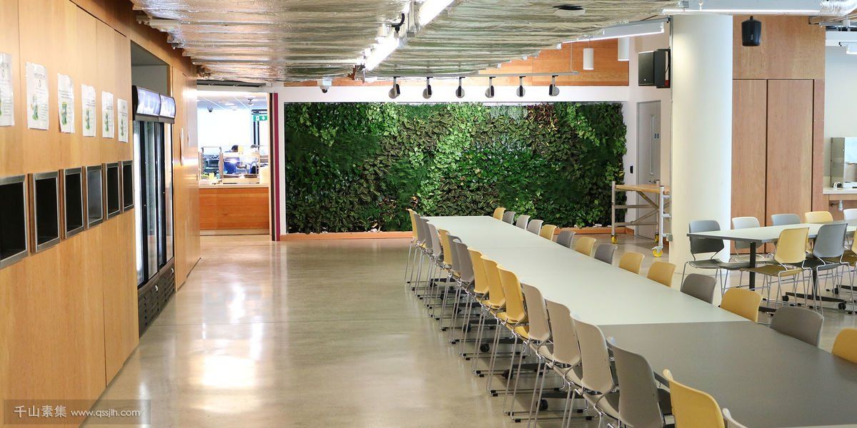 Facebook办公室植物墙