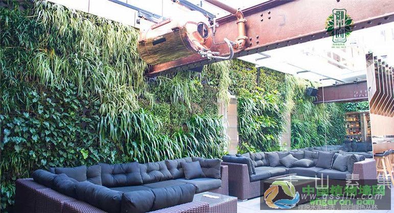 酒吧植物墙符合酒店的环境氛围 绿色与狂野的结