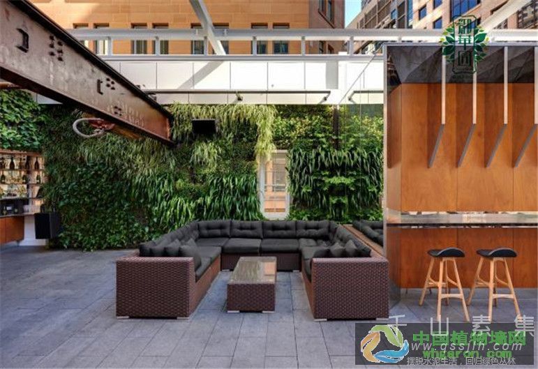 酒吧植物墙符合酒店的环境氛围_绿色与狂野的结合