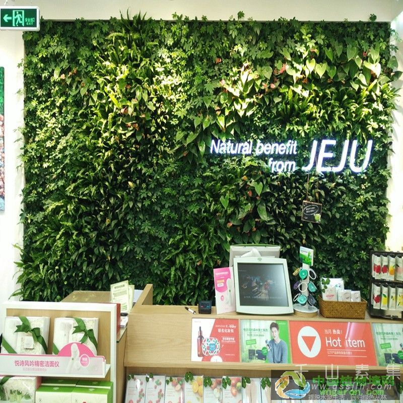 武汉商场化妆品店绿墙以及服装店植物墙设计制作