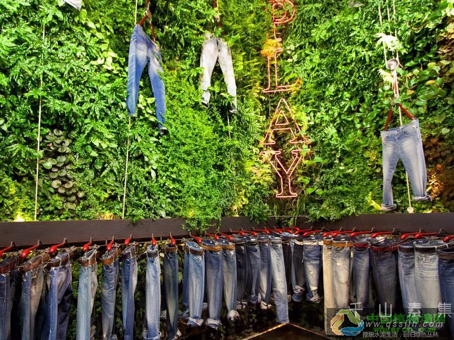 武汉商场化妆品店绿墙以及服装店植物墙设计制作