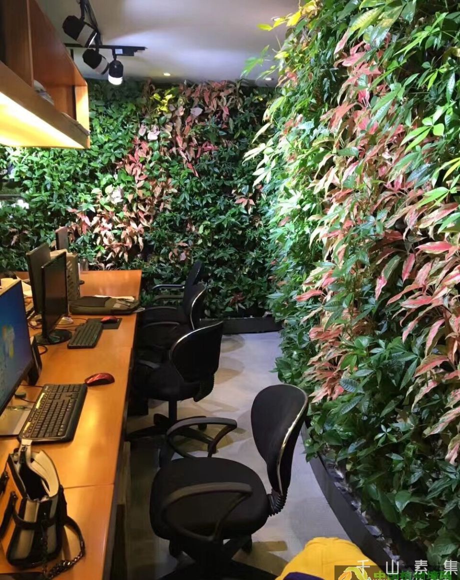 武汉办公室植物墙设计制作_武汉哪些厂家做植物墙