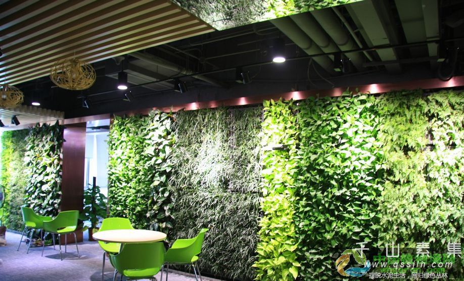 武汉办公室植物墙设计制作_武汉哪些厂家做植物墙