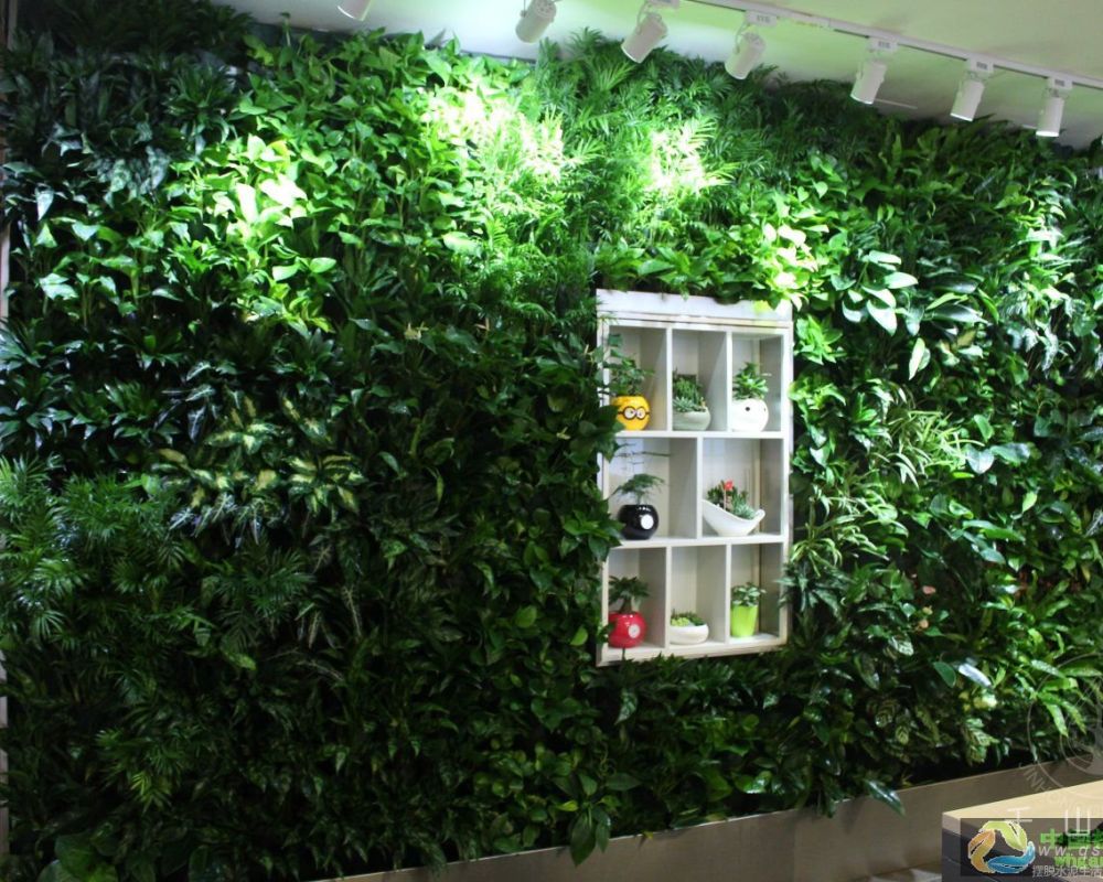 浅析绿色生态植物墙如何顺应中国城市化发展趋势