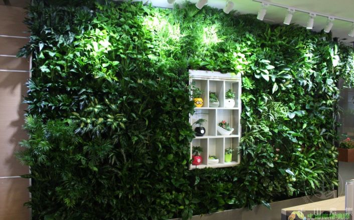 浅析绿色生态植物墙如何顺应中国城市化发展趋