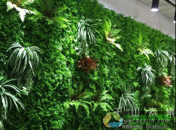 墙面装饰新升级 植物墙给你带来不一样的视觉感