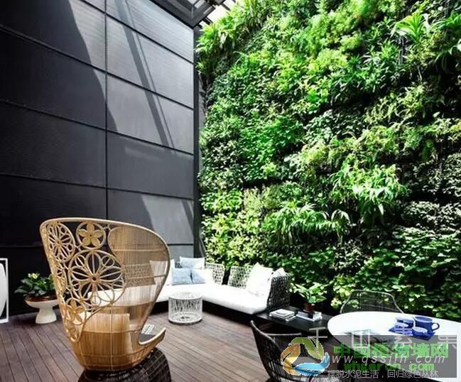 植物墙施工工艺之表现形式_植物墙材料设备的选择